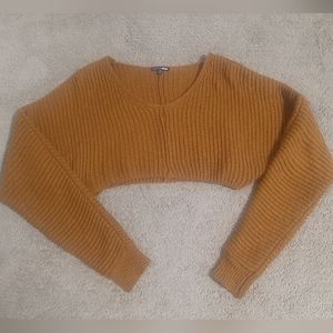 Fashion Nova crop sweater